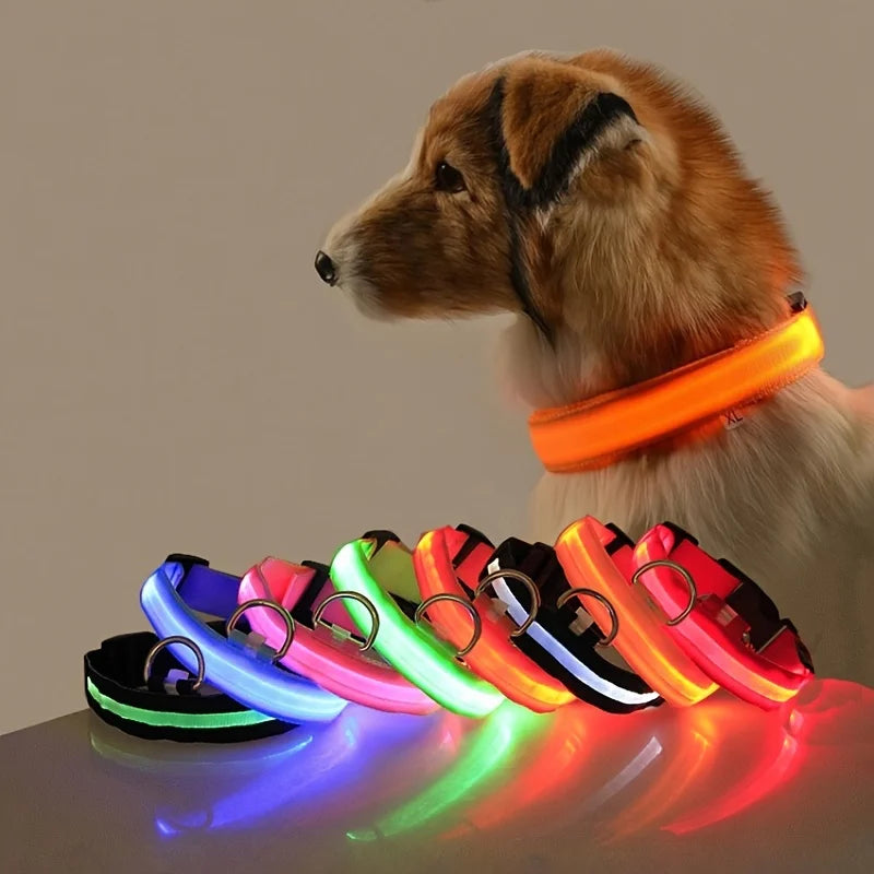 Coleira LED - Segurança Noturna Piscando Brilho no Escuro Coleira de Cachorro Cães Luminoso Fluorescente Coleira de Cachorro