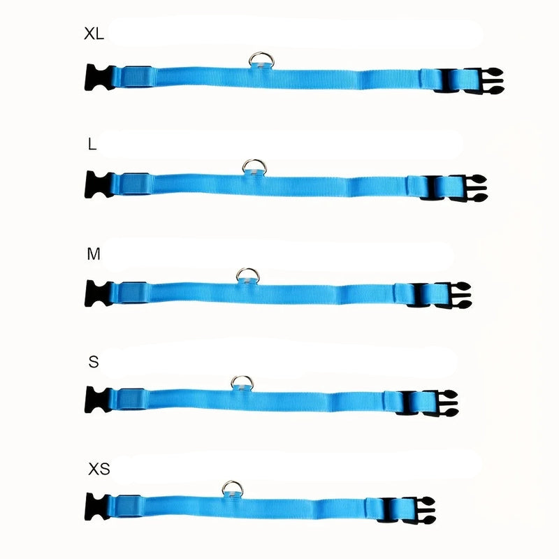 Coleira LED - Segurança Noturna Piscando Brilho no Escuro Coleira de Cachorro Cães Luminoso Fluorescente Coleira de Cachorro